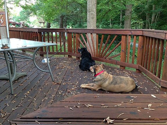 Front deck 3