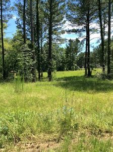 Jones Loop, Terry, MS, 39170