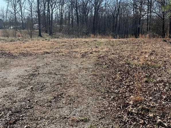 0 Girl Scout Rd, Wappapello, MO 63966