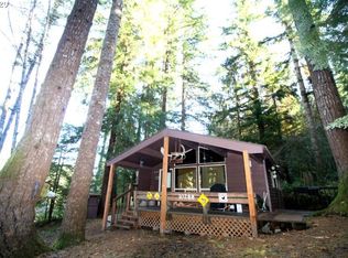 10288 Ridge View Ter, Birkenfeld, OR 97016