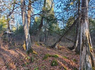 Nelson Landing Rd, Three Lakes, WI 54562