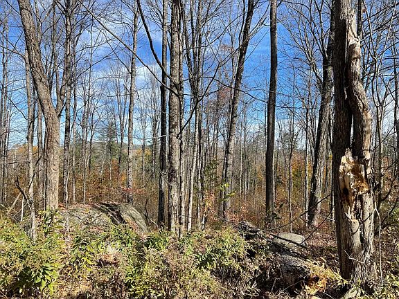 5th image of 00 Turner Hill Road