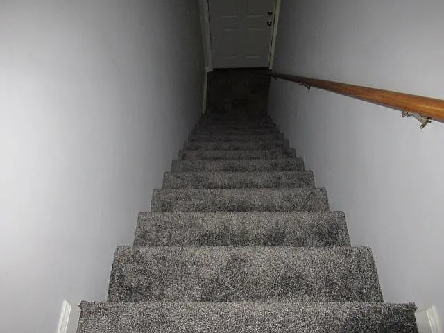 Forest View Rd — Photo 9