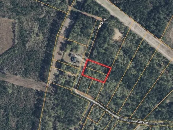 LOT Forest Pl #B, Marion, SC 29571