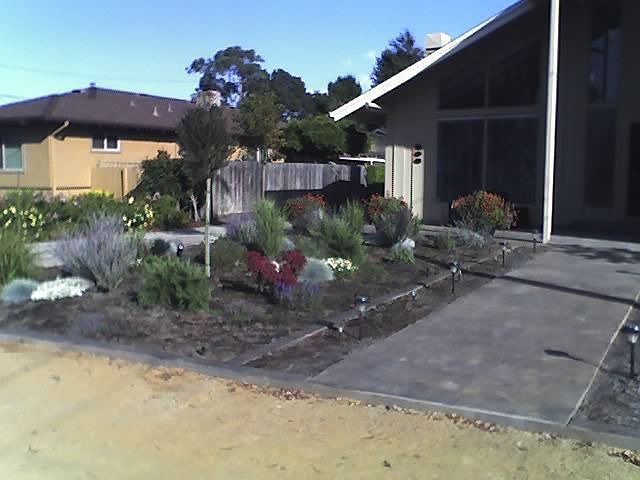 front yard