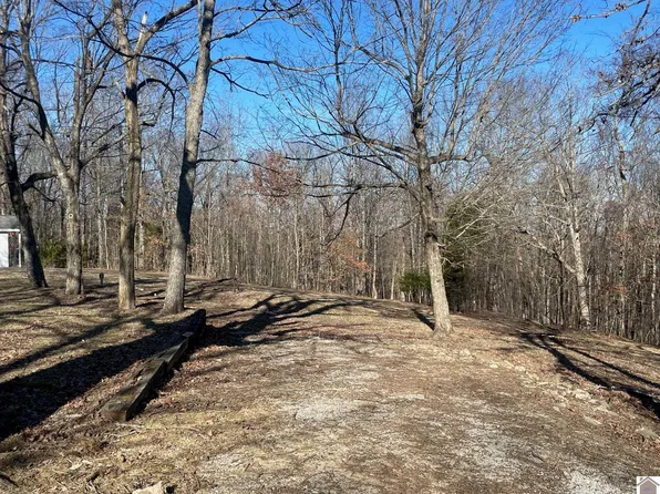 821 Vicksburg Rd, Tiline, KY 42083