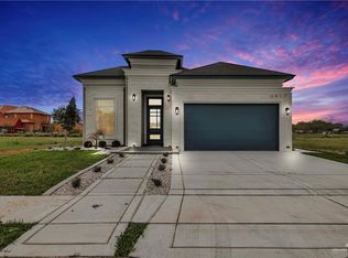 2917 N Alyna Ave, Edinburg, TX 78541