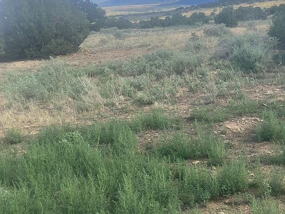 4th image of 17161 County Road 71.1 Pkwy