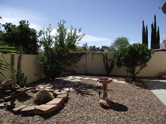 Back yard