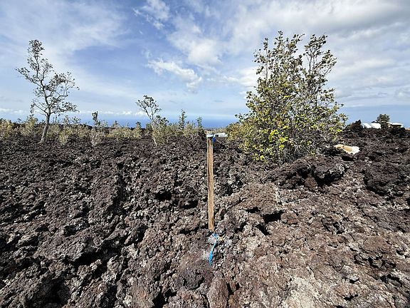 4th image of 92-8911 LEHUA LANE