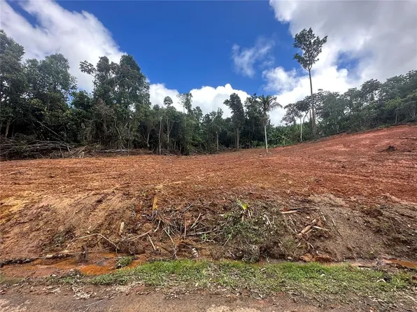 (undisclosed Address), Canovanas, PR 00729