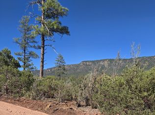 PARCEL 1 N Highway 87, Pine, AZ 85544