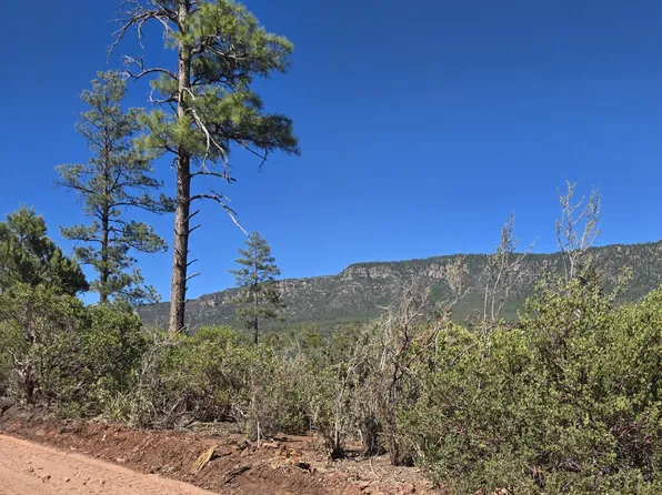 PARCEL 1 N Highway 87, Pine, AZ 85544