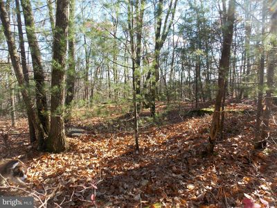 85 Scarlet Way, Biglerville, PA, 17307