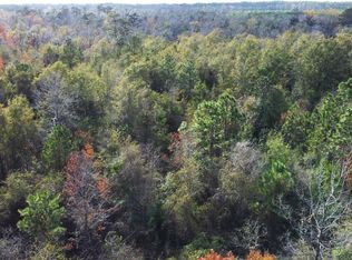 Brandi Blvd, Quincy, FL 32351