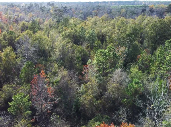 Brandi Blvd, Quincy, FL 32351