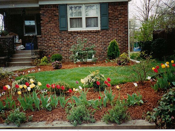 Professional Landscaping