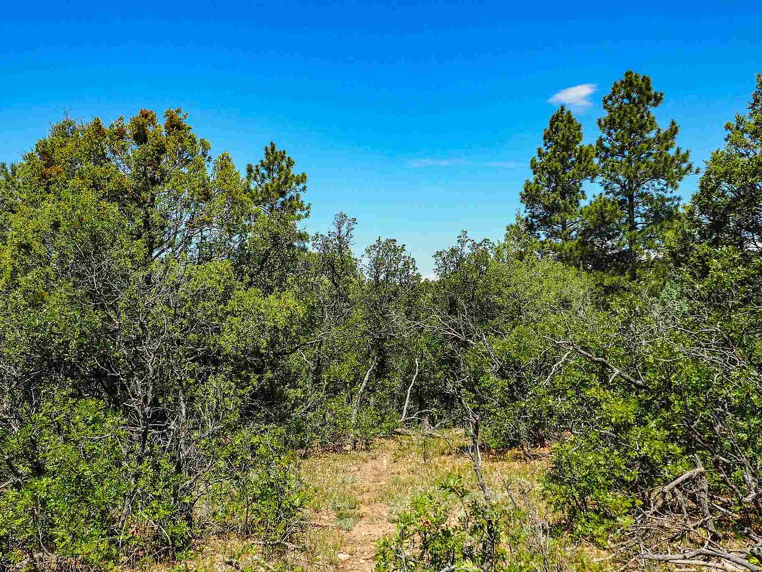 TRACT 25 Ponderosa Subdivision Ponderosa Subdivision UNIT 1, Chama, NM 87520 Zillow