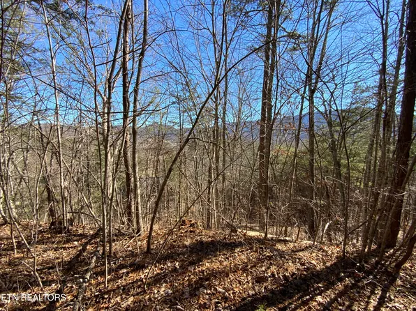 LOT 7R Hatcher Mountain Rd, Sevierville, TN 37862