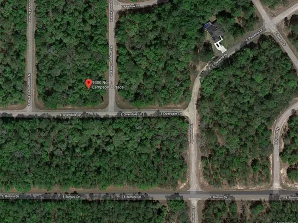 9300 N Lampson Ter, Citrus Springs, FL 34434