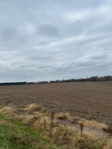 Basswood Lake Rd, Ponsford, MN, 56575
