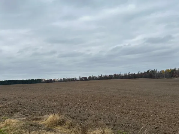 Basswood Lake Rd, Ponsford, MN 56575