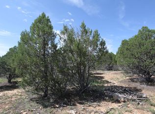 1508 Shade Tree Dr, Heber, AZ 85928