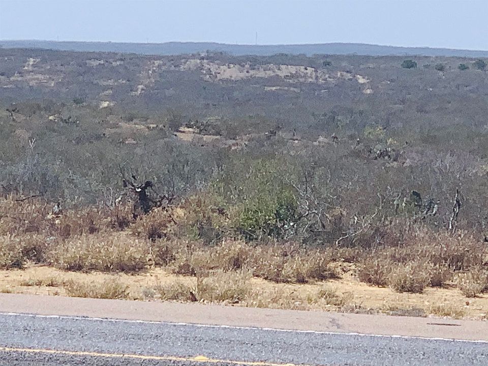 3459 N Us Highway 83, Zapata, TX 78076 MLS 20223318 Zillow