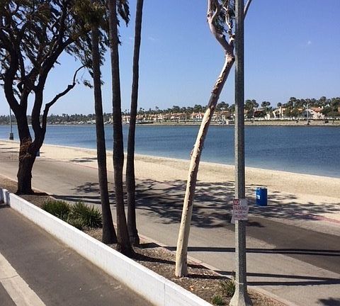 2nd image of 5383 E Paoli Way