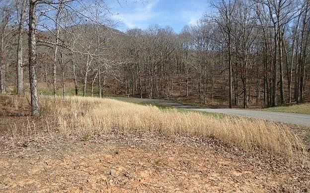1st image of 0 Arbor Ln #71