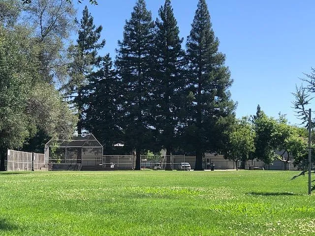 Breuner Dr — Photo 42