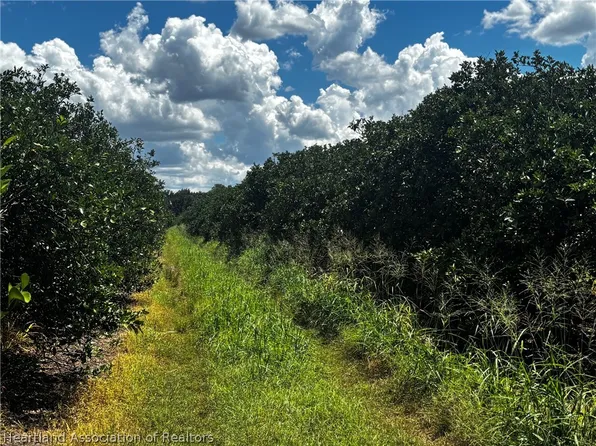 Rhynn Rd, Wauchula, FL 33873