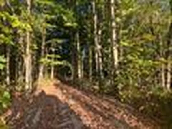 4275 200th Ave, Morley, MI 49336