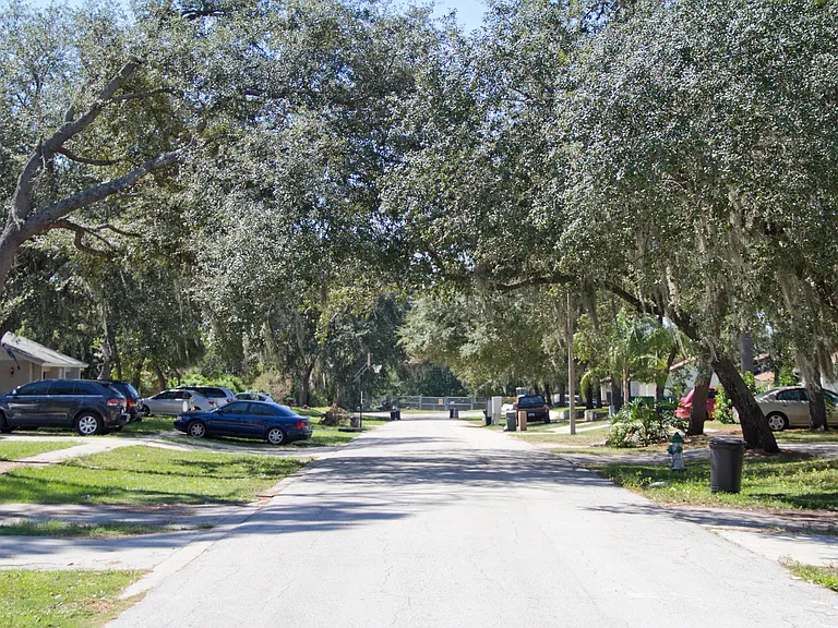 Tree lined Street
