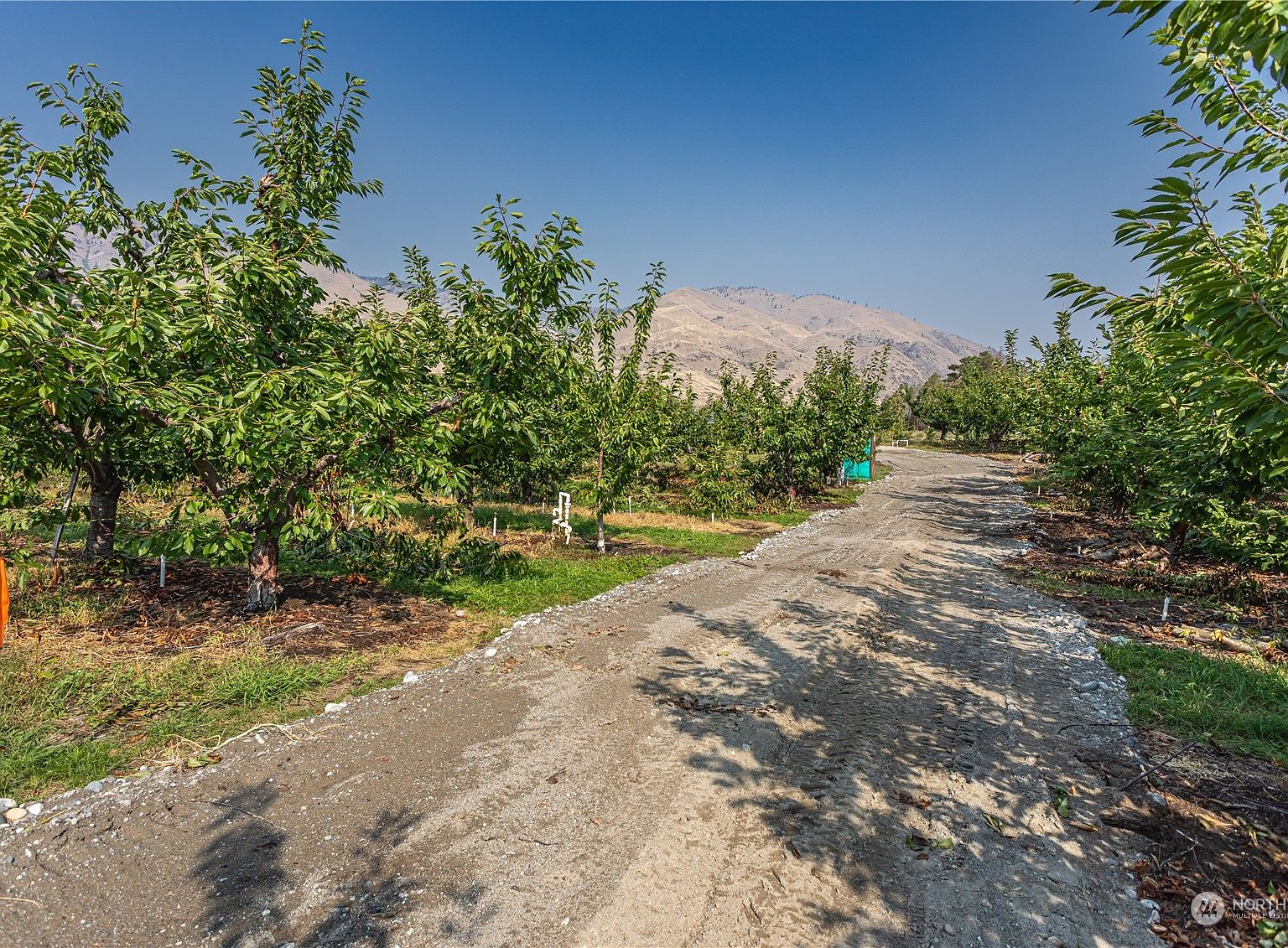 Zillow East Wenatchee Land For Sale at Jimmie Her blog