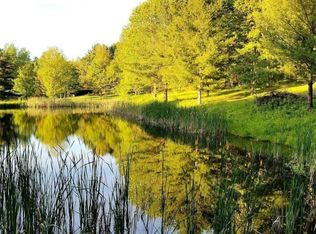 5561 Pigtail Rd #25, Friendship, NY 14739