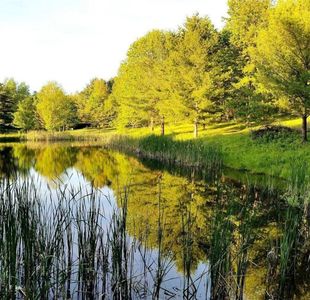 5561 Pigtail Rd #25, Friendship, NY, 14739