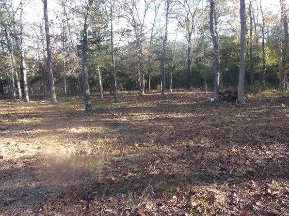 816 Callender Lake Dr, Murchison, TX 75778