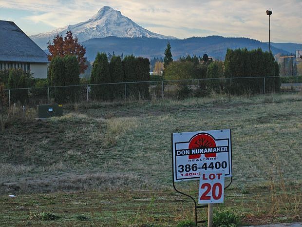remaining view lot #20