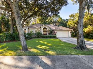 245 Lafayette Blvd, Oldsmar, FL 34677