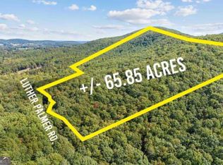 24 Luther Palmer Rd, Cleveland, GA 30528