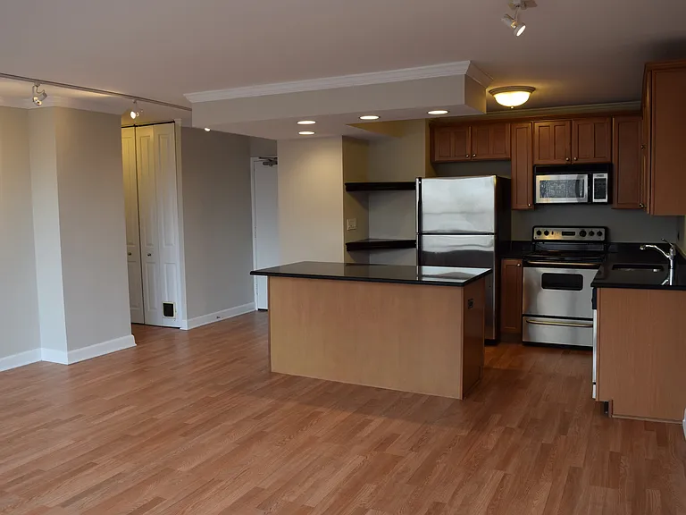 1360 N Sandburg Ter #410 — Photo 11