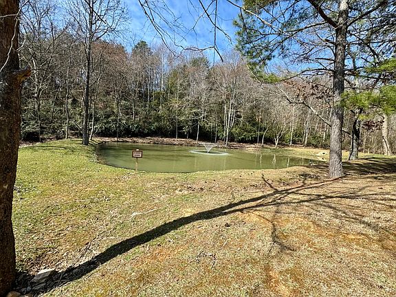 3rd image of LOT 13 Cove Springs Dr