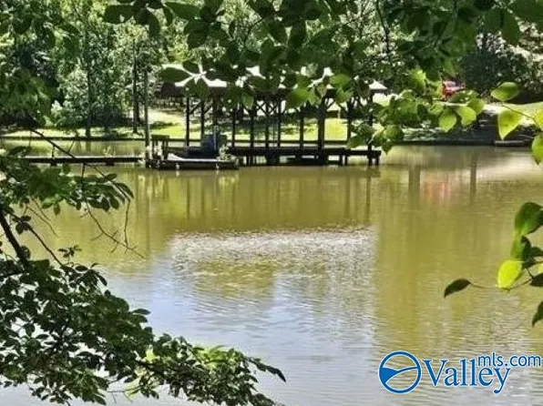 68 County Road 608, Cedar Bluff, AL 35959