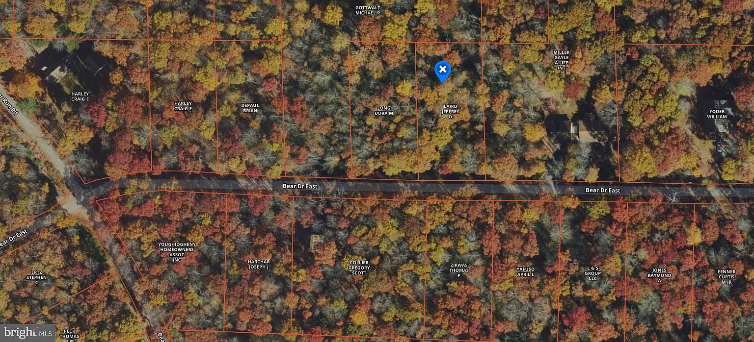 7 Bear Dr E photo 1