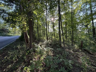 Longview Heights Rd, Athens, OH, 45701