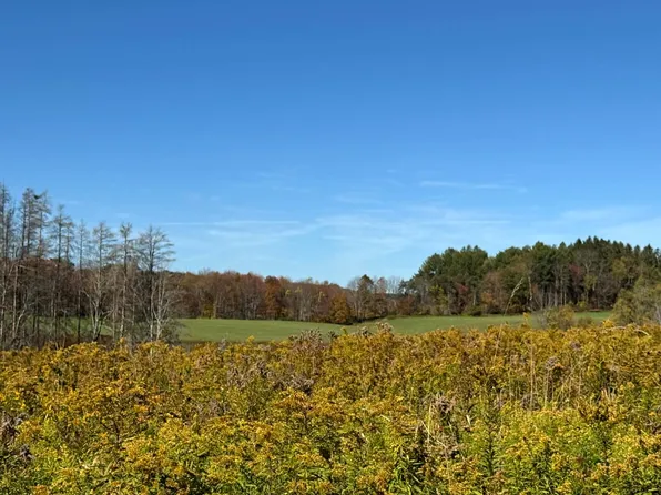 1.2 County Road 29 #2, New Berlin, NY 13411