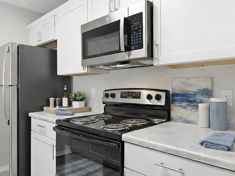 Stainless Steel Appliances