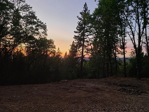2nd image of 11685 Lothlorien Ln
