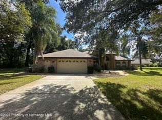 312 Hollow Oak Ct, Spring Hill, FL 34609